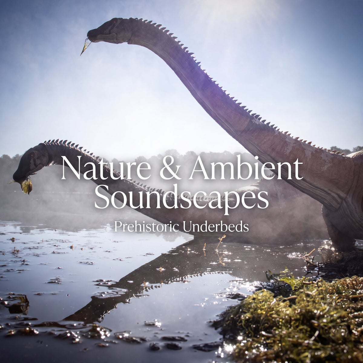 Nature & Ambient Soundscapes | Prehistoric Underbeds